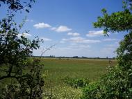 Віленька з panoramio.com