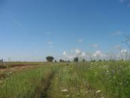 Кірове з panoramio.com