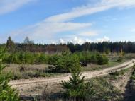 Новотроїцьке з panoramio.com