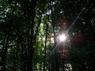 Мала Мочулка з panoramio.com