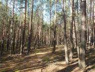 Мигалки з panoramio.com