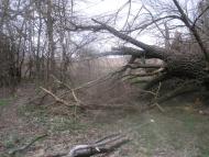 Жовтневе з panoramio.com