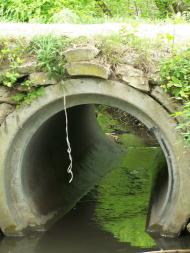 Лозова з panoramio.com