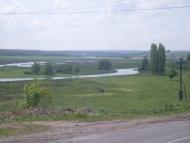 Куна з panoramio.com