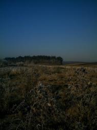 Шилівка з panoramio.com