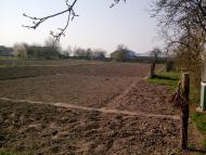 Ставки з panoramio.com