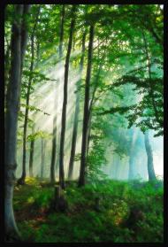 Бабин з panoramio.com