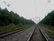 Цвітоха з panoramio.com