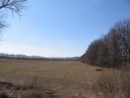 Малинівка з panoramio.com