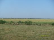 Фруктове з panoramio.com