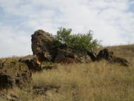 Першомар'ївка - Останні фото