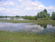 Велике Устя - Останні фото