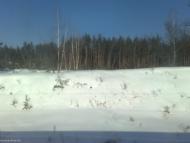 Таценки з panoramio.com