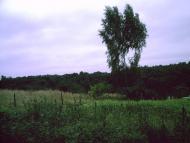 Солонка з panoramio.com