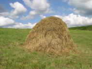 Слиньків Яр з panoramio.com