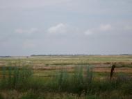 Обрив з panoramio.com