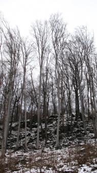 Ворочово з panoramio.com - Ворочево
