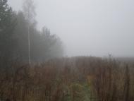 Нова Буда з panoramio.com