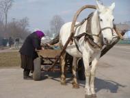 Згурівка з panoramio.com - Zgurivka