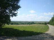 Михалківці з panoramio.com