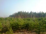 Лабурівка з panoramio.com