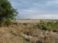 Ячмінне з panoramio.com