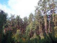 Вишняки з panoramio.com - Вишняки