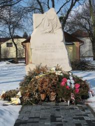 Висоцьк з panoramio.com