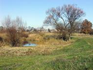 Новий Стародуб з panoramio.com