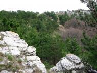 Відрадне з panoramio.com