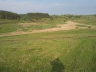 Нова Січ з panoramio.com