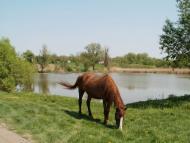 Жерденівка з panoramio.com