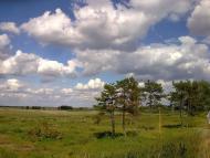 Піщанівка з panoramio.com