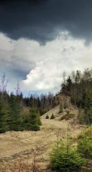 Труханів з panoramio.com - Труханів