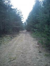 Арламівська Воля з panoramio.com