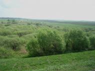 Великі Пузирки з panoramio.com