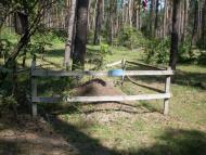 Нараївка з panoramio.com