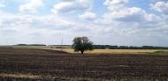 Ордівка з panoramio.com