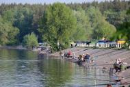 Новокомсомольське з panoramio.com