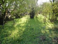 Козубівка з panoramio.com