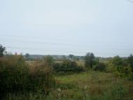 Кам'янка з panoramio.com