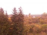 Ріпна з panoramio.com