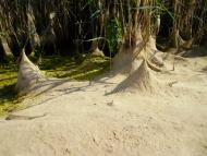 Усть-Лип'янка з panoramio.com