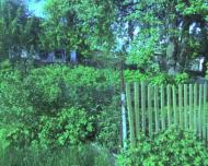 Заруддя з panoramio.com