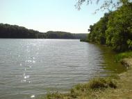 Комісарівка з panoramio.com