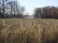 Олександропілля з panoramio.com