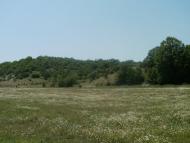 Кудрине з panoramio.com - Кудрине