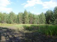 Мареничі з panoramio.com