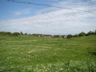 Широкине з panoramio.com