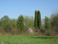 Грабівці з panoramio.com